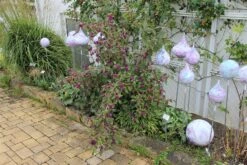 Bestseller -Blumen Verkäufe 41330 Callicarpa 20bodinieri 20Profusion Schoenfrucht 20Liebesperlenstrauch 2 a67df01c e0b9 4c36 aed3 14d9a2e3fb49